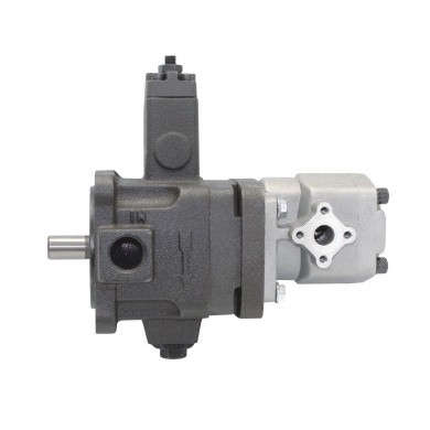 High and low pressure combination pump